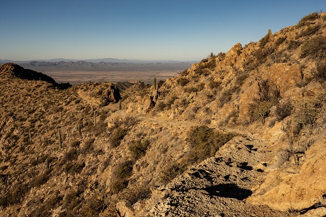 Saguaro NP and Mt. Lemmon Self Guided Driving Audio Tour Bundle - Price, timing, and who should buy it