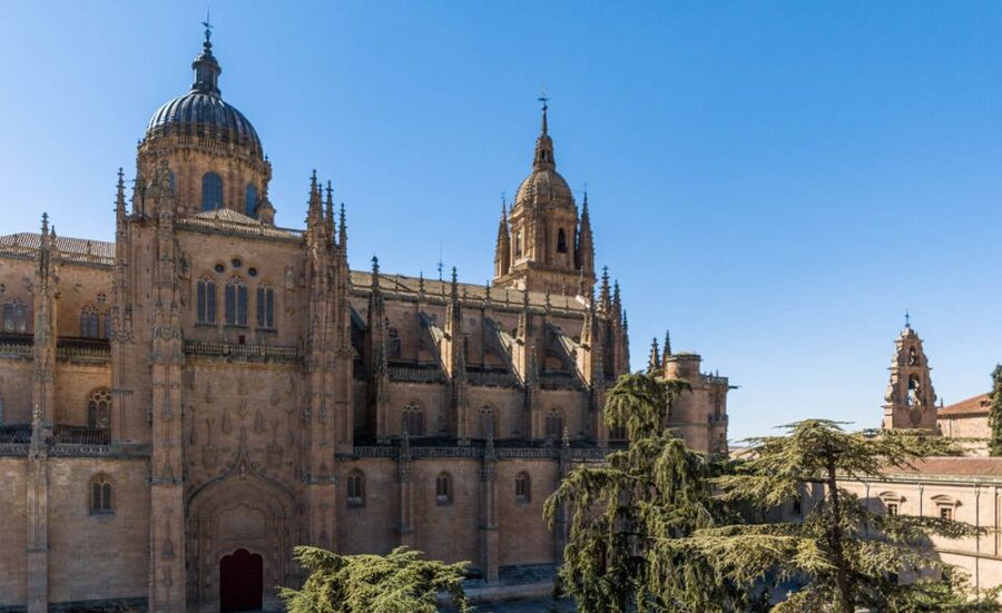 Salamanca: Cathedral of Salamanca Ticket with Audio Guide - The 53-panel retablo and the cathedral’s art