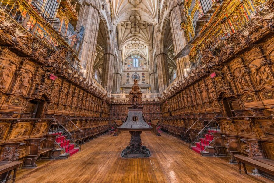 Salamanca: Cathedral of Salamanca Ticket with Audio Guide - The Old Cathedral, cloister, and chapter halls