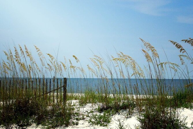 Scenic A1A Byway Self Guided Driving Audio Tour - North Beach Park and Vilano Beach’s Bluebird