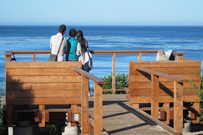Scenic Path Carmel-by-the-Sea: A Self-Guided Audio Tour - Ocean Avenue and Carmel’s notable homes