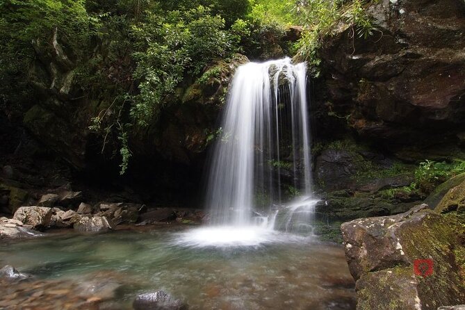 Self-Guided Audio Driving Tour in Great Smoky Mountains - Roaring Fork trades open views for streams and cabins
