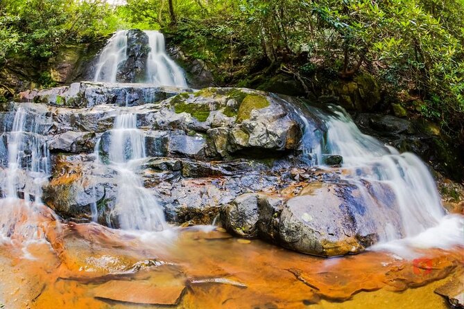 Self-Guided Audio Driving Tour in Great Smoky Mountains - Grotto Falls adds a manageable waterfall hike