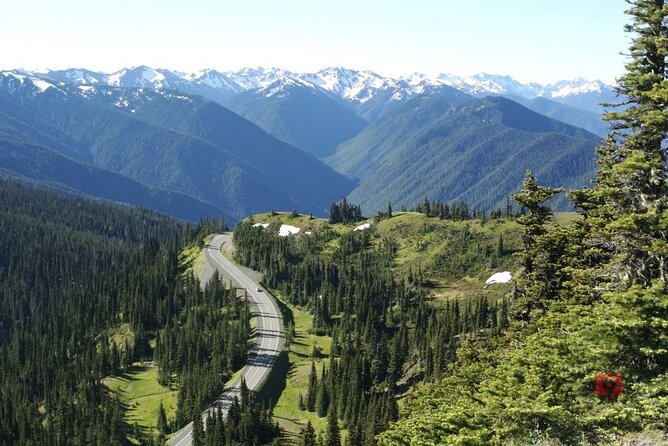 Self-Guided Audio Driving Tour in Olympic National Park - Quinault Rain Forest and the giant Sitka spruce