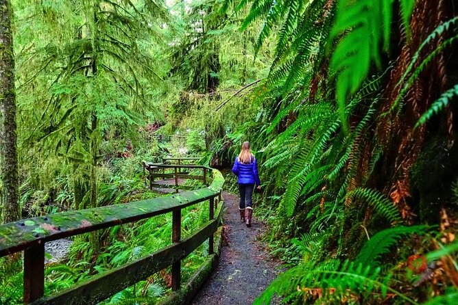Self-Guided Audio Driving Tour in Olympic National Park - Madison Creek Falls and the Elwha Valley