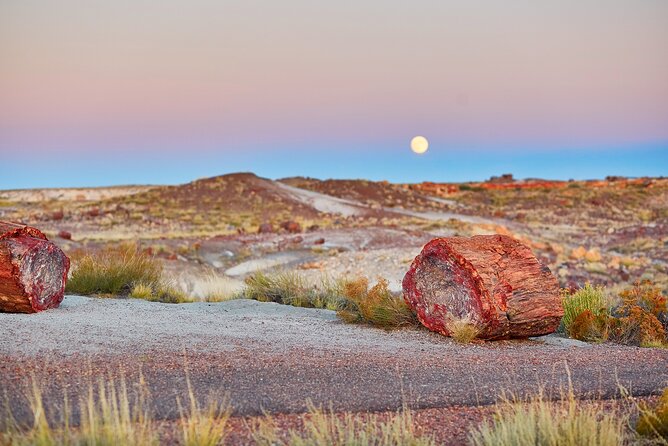 Self-Guided Audio Driving Tour in Petrified Forest National Park - Take in the Painted Desert from Tiponi Point