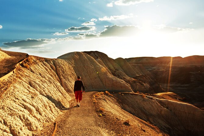 Self-Guided Audio Driving Tour in Petrified Forest National Park - Step into the Painted Desert Inn