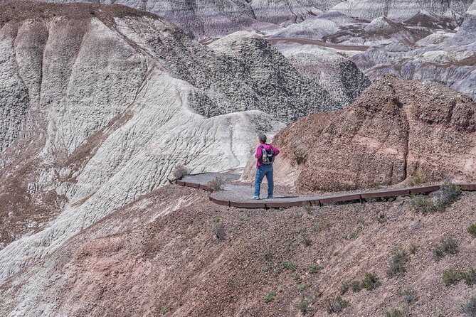 Self-Guided Audio Driving Tour in Petrified Forest National Park - Read the past at Newspaper Rock