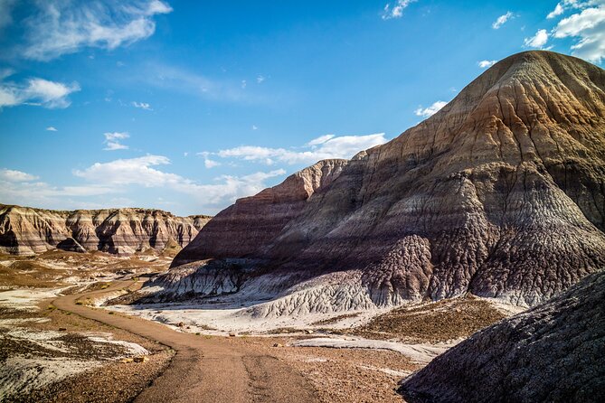 Self-Guided Audio Driving Tour in Petrified Forest National Park - See the Blue Forest and Blue Mesa
