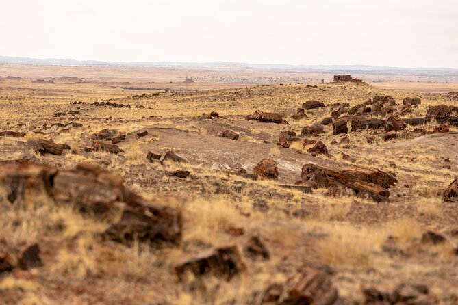 Self-Guided Audio Driving Tour in Petrified Forest National Park - Start at the Painted Desert Visitor Center