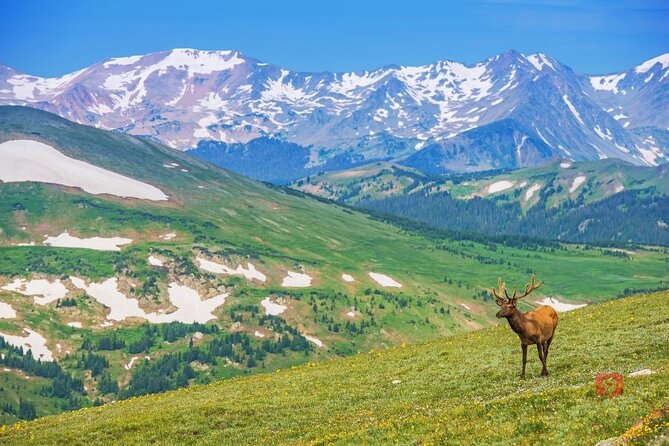Self-Guided Audio Driving Tour in Rocky Mountain National Park - Many Parks Curve and the glacier-shaped views