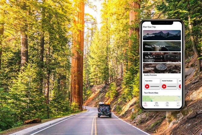 Self-Guided Audio Driving Tour in Sequoia and Kings Canyon - A private guide for a full day in the Sierra
