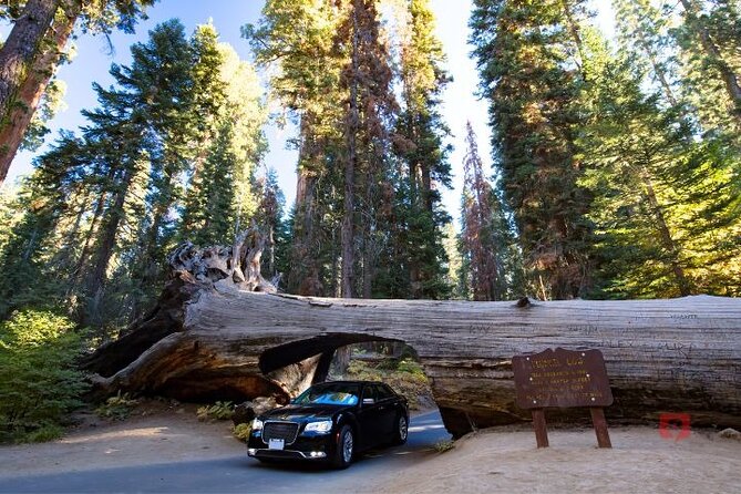 Self-Guided Audio Driving Tour in Sequoia and Kings Canyon - Moro Rock, 350 steps and a wide Sierra view