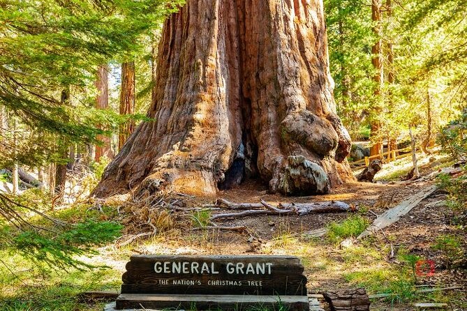 Self-Guided Audio Driving Tour in Sequoia and Kings Canyon - Cedar Grove, Roaring River Falls and Zumwalt Meadows