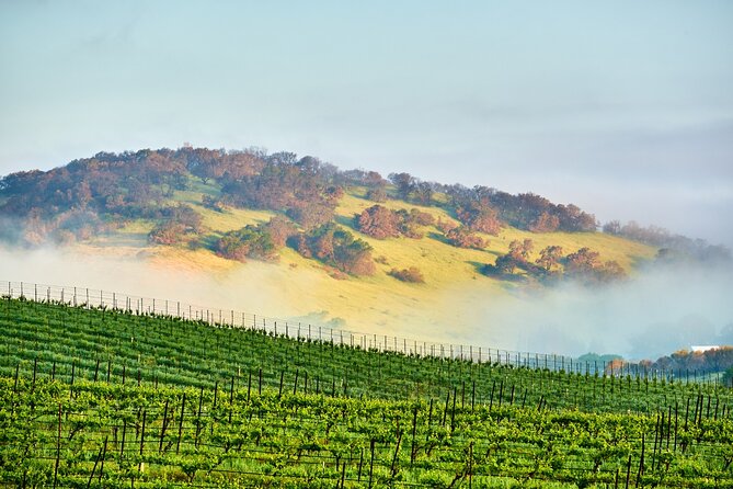 Self-Guided Audio Driving Tour of Sonoma and Napa Valley - A flexible way to see two famous California valleys