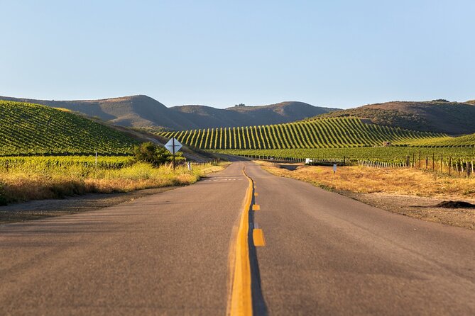 Self-Guided Audio Driving Tour of Sonoma and Napa Valley - St. Francis Winery pairs wine with food