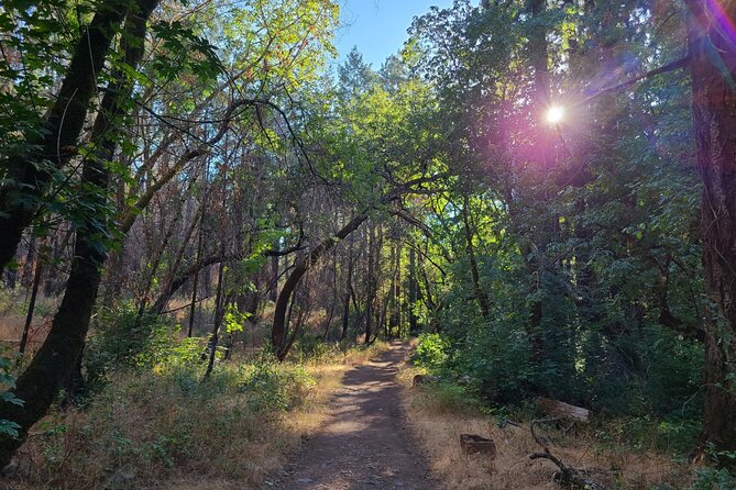Self-Guided Audio Driving Tour of Sonoma and Napa Valley - Frog’s Leap keeps the tone informal