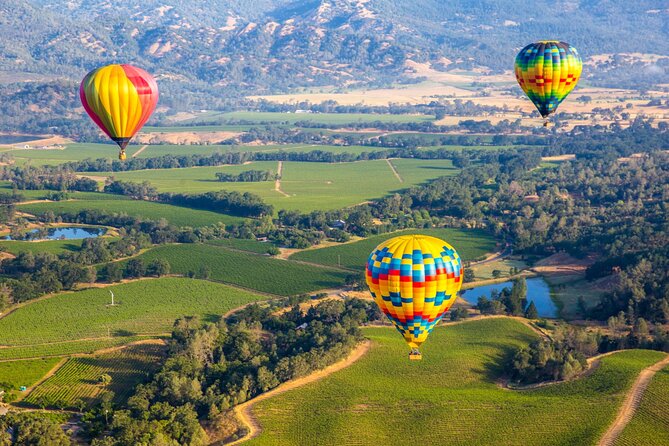 Self-Guided Audio Driving Tour of Sonoma and Napa Valley - Ledson Winery brings castle-style architecture