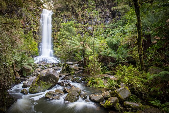 Self-Guided Audio Driving Tour of the Great Ocean Road, Australia - Lorne and Erskine Falls: pair town time with forest