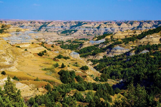 Self Guided Audio Tour of Theodore Roosevelt National Park - Starting with Theodore Roosevelt at Maltese Cross Cabin