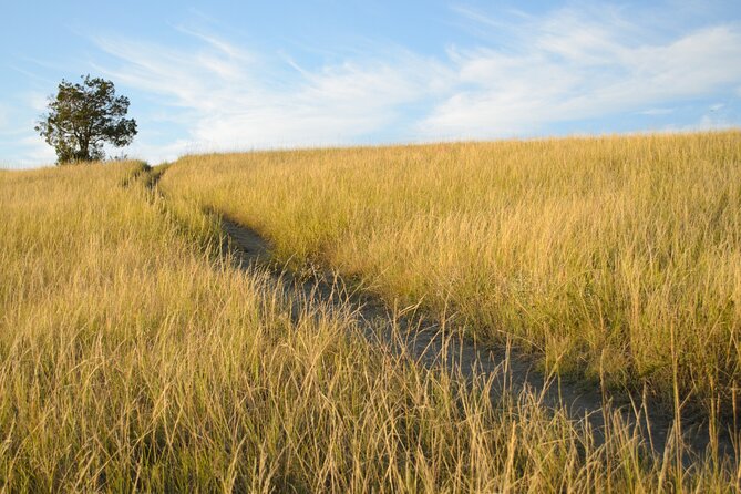 Self Guided Audio Tour of Theodore Roosevelt National Park - Wind Canyon Trail is short and easy to fit in