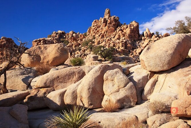 Self-Guided Driving Audio Tour in Joshua Tree National Park - Hall of Horrors: a little exploration required
