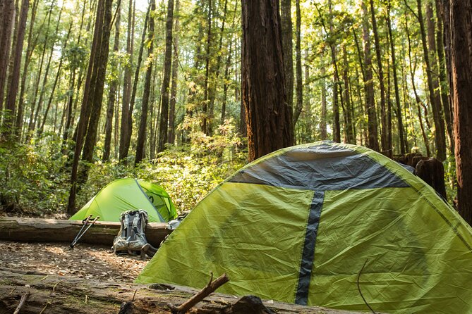 Self Guided Driving Audio Tour of Redwood National and State Park - Crescent Beach and False Klamath
