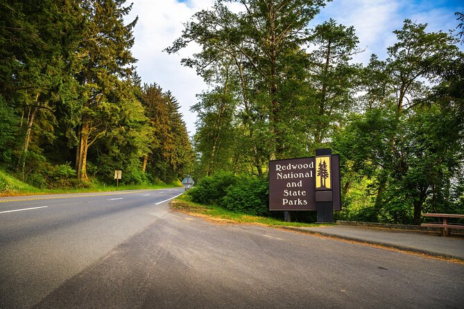 Self Guided Driving Audio Tour of Redwood National and State Park - Bald Hills Road and the open country