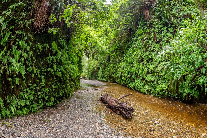 Self Guided Driving Audio Tour of Redwood National and State Park - The two-hour plan versus the fuller day