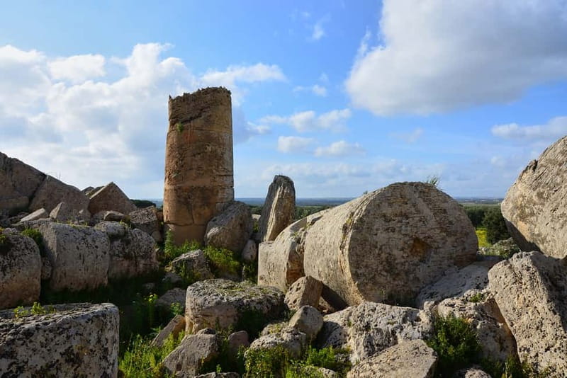 Selinunte: Archeological Park Entry Ticket & App Audioguide - The Sanctuary of Malophoros
