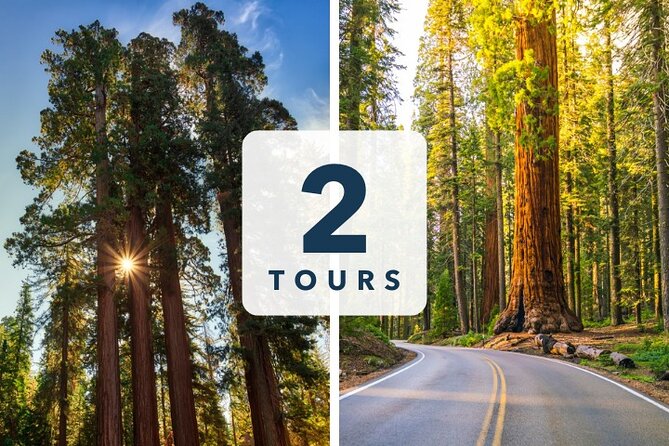 Sequoia and Kings Canyon Audio Tour Self Guide National Park Tour - Key points to know before you go