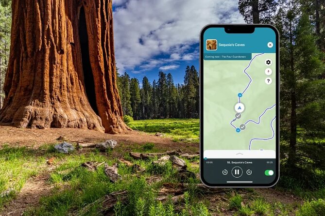 Sequoia and Kings Canyon Audio Tour Self Guide National Park Tour - Day two: Sequoia’s giant trees and granite domes