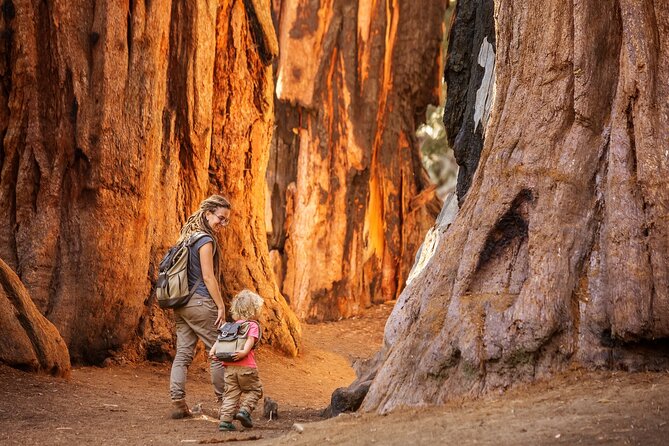 Sequoia and Kings Canyon Audio Tour Self Guide National Park Tour - Should you book it?