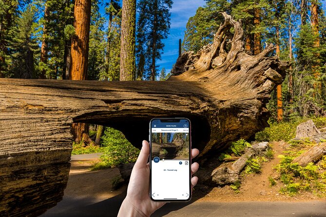 Sequoia & Kings Canyon NP Self-Guided Driving Audio Tour - Boyden Cavern and Zumwalt Meadow