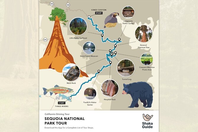 Sequoia National Park Self-Guided Audio Tour - Tunnel Log and Crescent Meadow