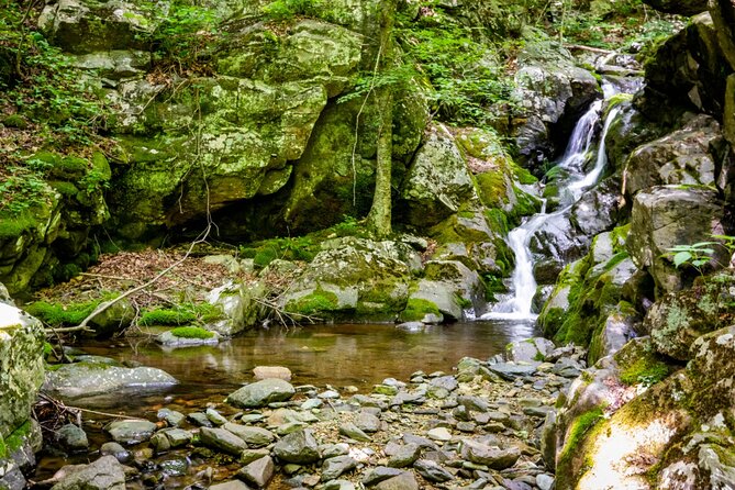 Shenandoah National Park Self-Guided Driving Audio Tour - The final stretch toward Rockfish Gap