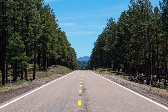 Smartphone Audio Driving Tour between Wasaga Beach and Toronto - Who should book this self-guided drive?