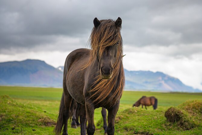Snaefellsnes Peninsula Self-Guided Driving Audio Tour - Hellissandur, waterfalls, and the famous Kirkjufell view