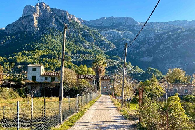 Soller’s Secret Stories: An Audio Tour by Travel Author - Olive oil and the agricultural side of Sóller