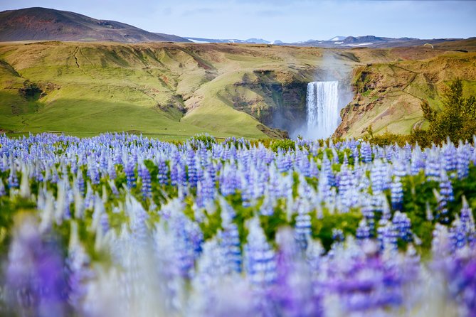 South Coast Iceland from Reykjavik with Guide & Touchscreen Audio - The glacier stop depends heavily on weather and timing