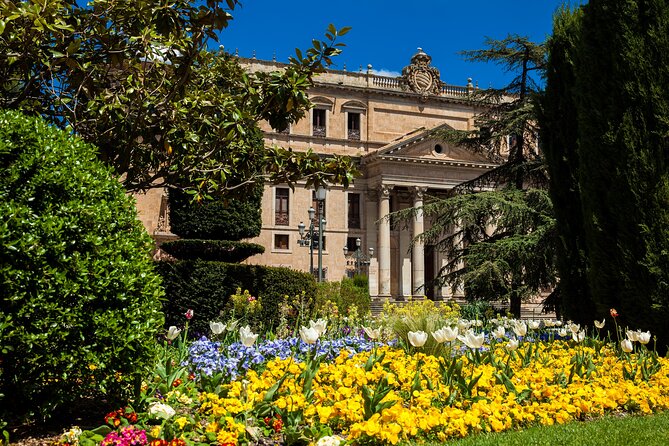 Spain’s Golden City: A Salamanca Audio Tour - Salamanca Cathedral, Anaya Palace, and the city’s grand religious buildings