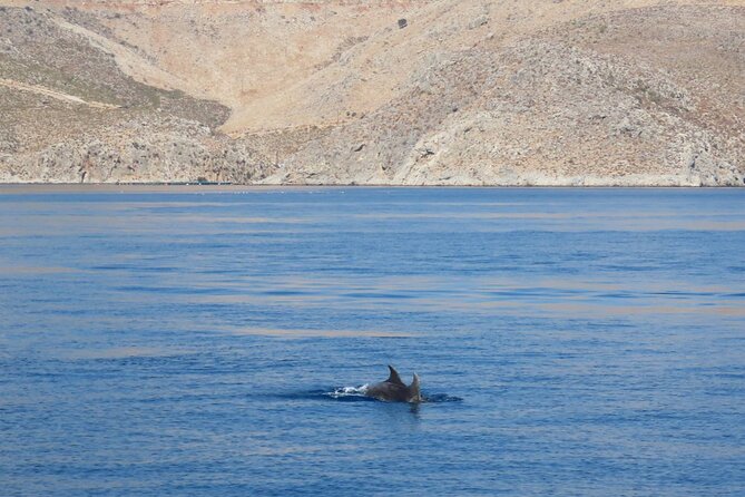The Santa Maria 3 Island Cruise in the Aegean w/ Free Audio Guide - A full Aegean day from Kos