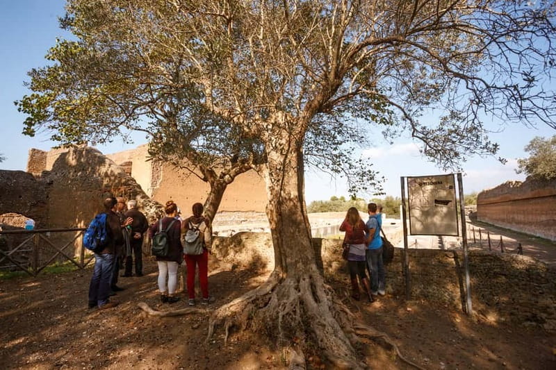 Tivoli: Entrance Ticket to Villa Adriana & App Audioguide - Key points to know before you book