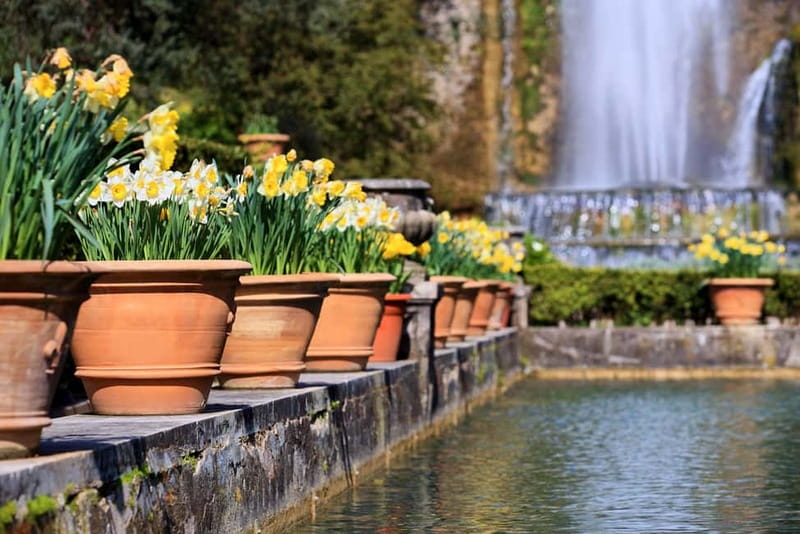 Tivoli: Villa D'Este Entry Ticket and App Audio Guide - The water organ and the sound of the garden
