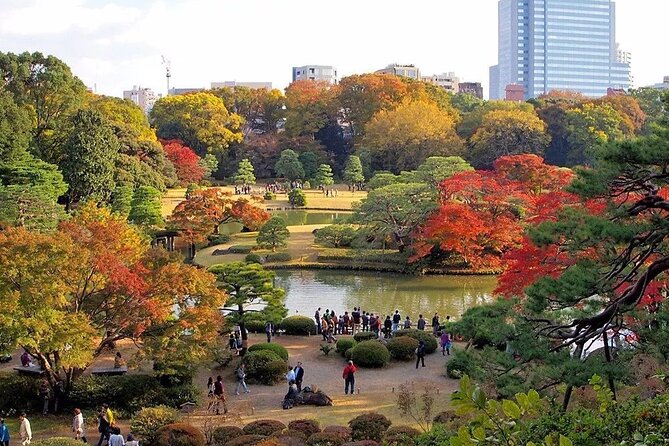 Tokyo Self-Guided Audio Tour - Shinjuku Gyoen, city views, and Meiji Shrine