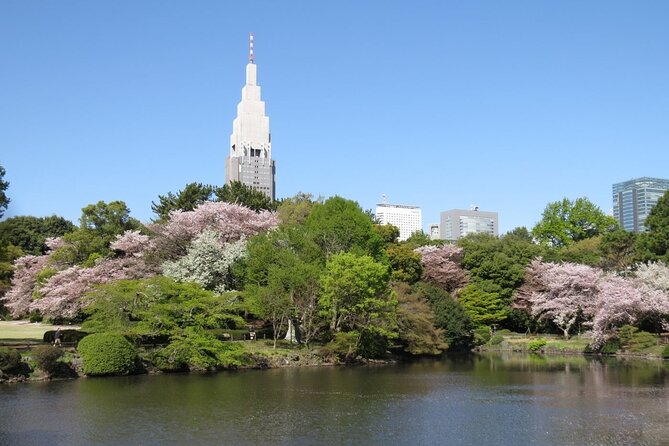 Tokyo Self-Guided Audio Tour - Shibuya Crossing and two very different art museums