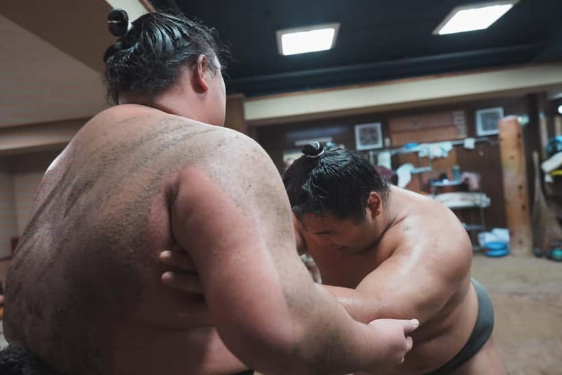Tokyo: Sumo Keiko Training Tour with Audio Guide & Photo - Building a half-day around the stable