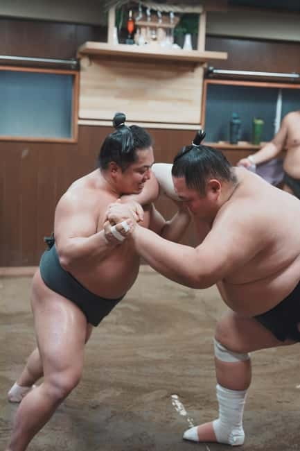 Tokyo: Sumo Keiko Training Tour with Audio Guide & Photo - Who should book this sumo experience