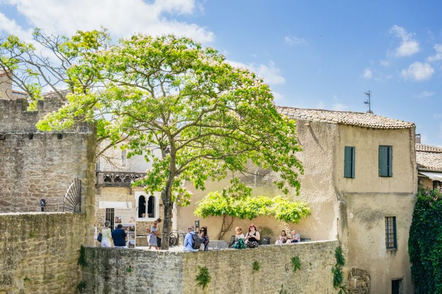 Toulouse: Carcassonne Day Trip by Coach with Audioguide - The audio guide and smartphone setup
