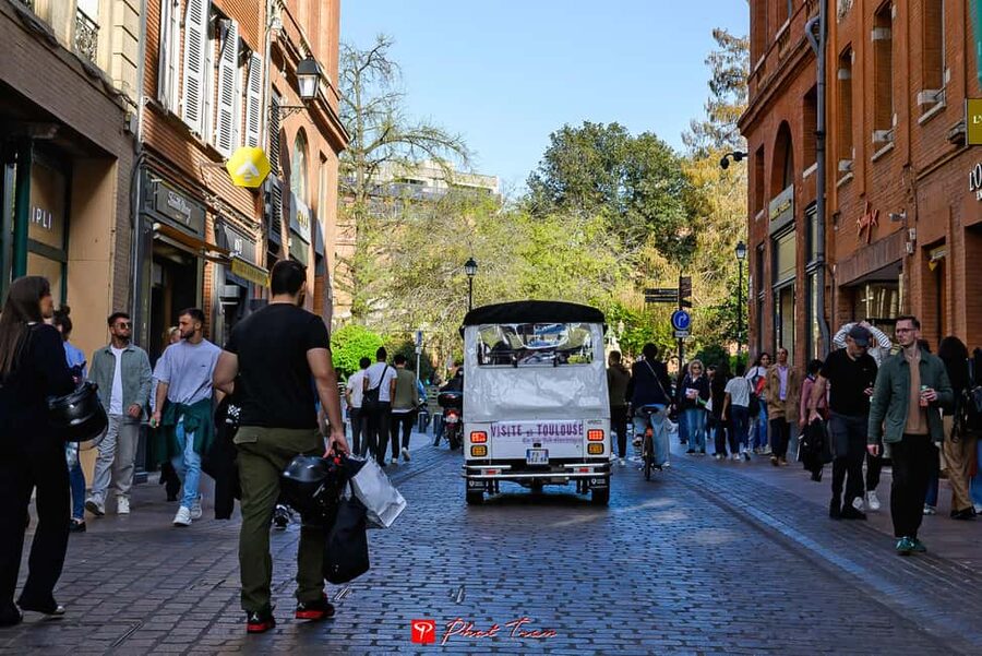 Toulouse: Electric Tuk-Tuk Tour with Photo Stops and Audio - The private format and the $82 price